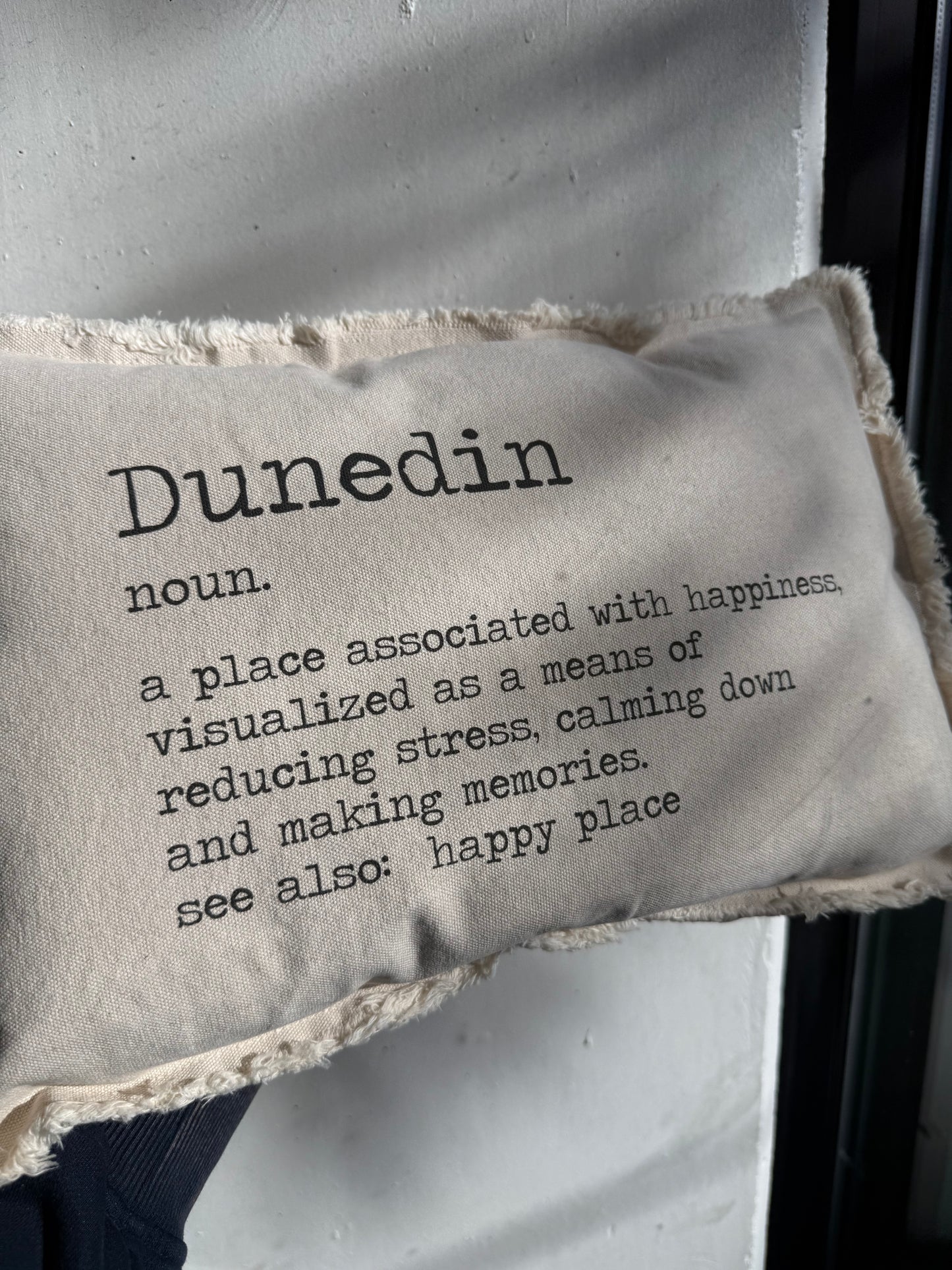 Dunedin Happy Place Pillow