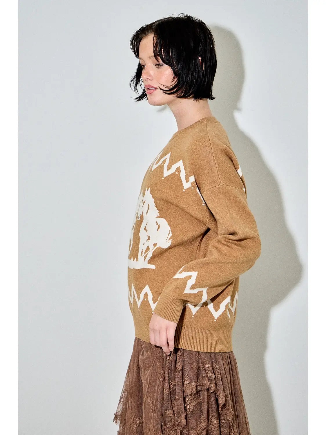 Western Wonder Sweater