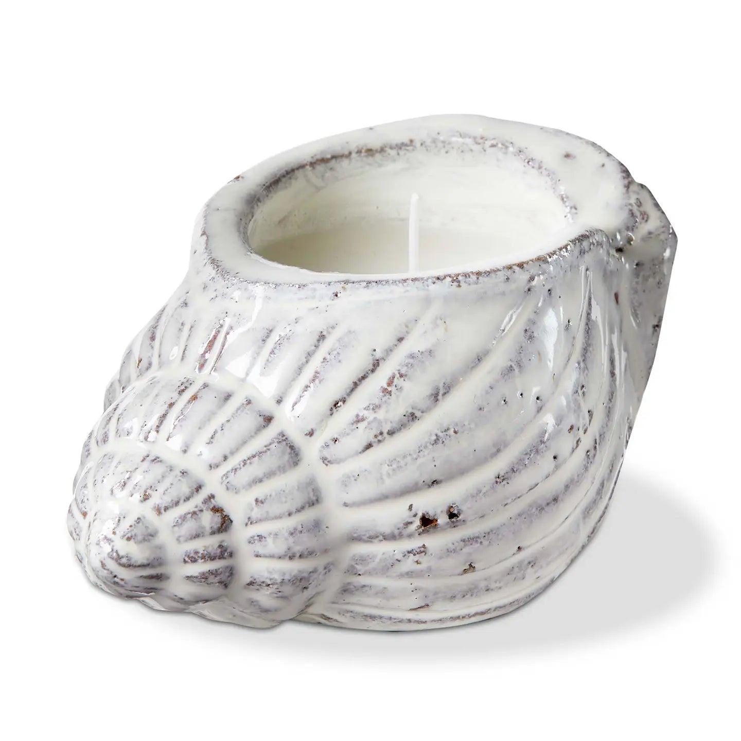 Shell Citronella Candle White