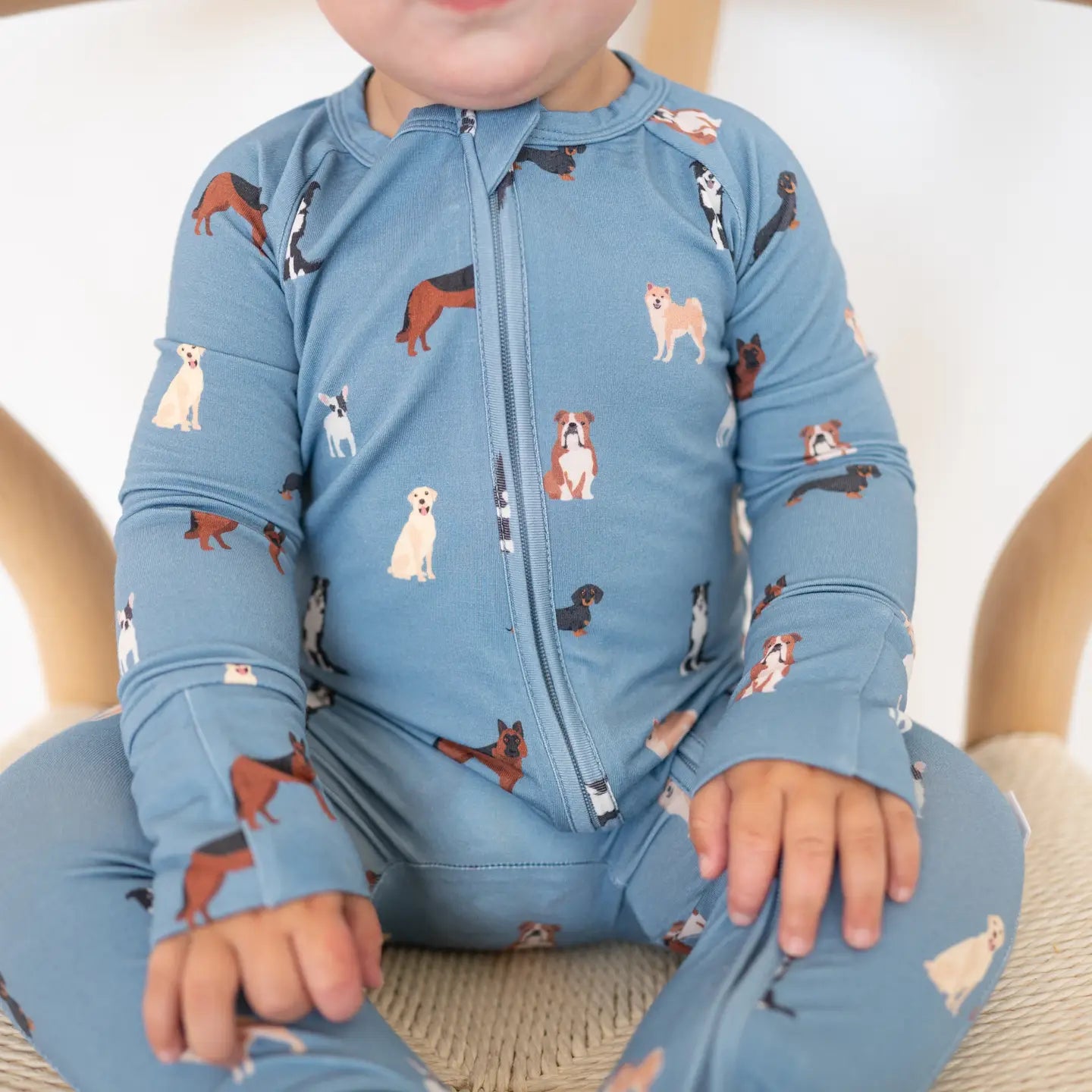 Bamboo 2-Way Convertible Zip Romper | Blue Dog