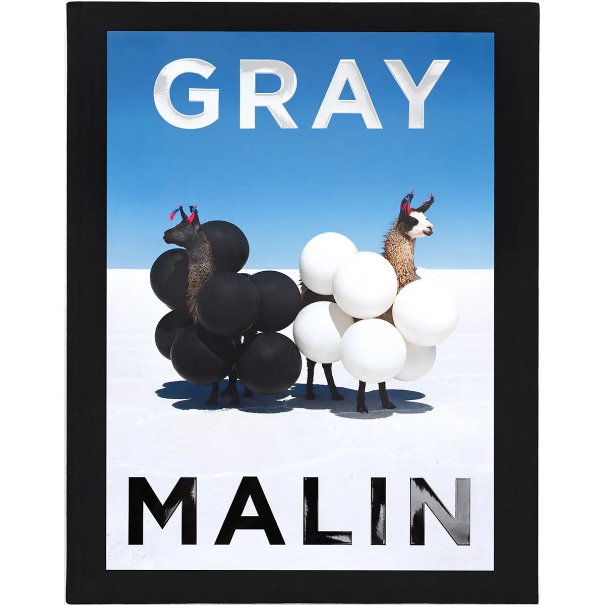 Gray Malin Coffee Table Book The Ivory Palm
