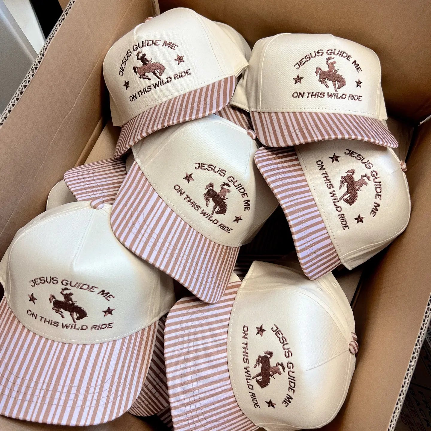 Jesus Guide Me On This Wild Ride- Brown Striped Hat