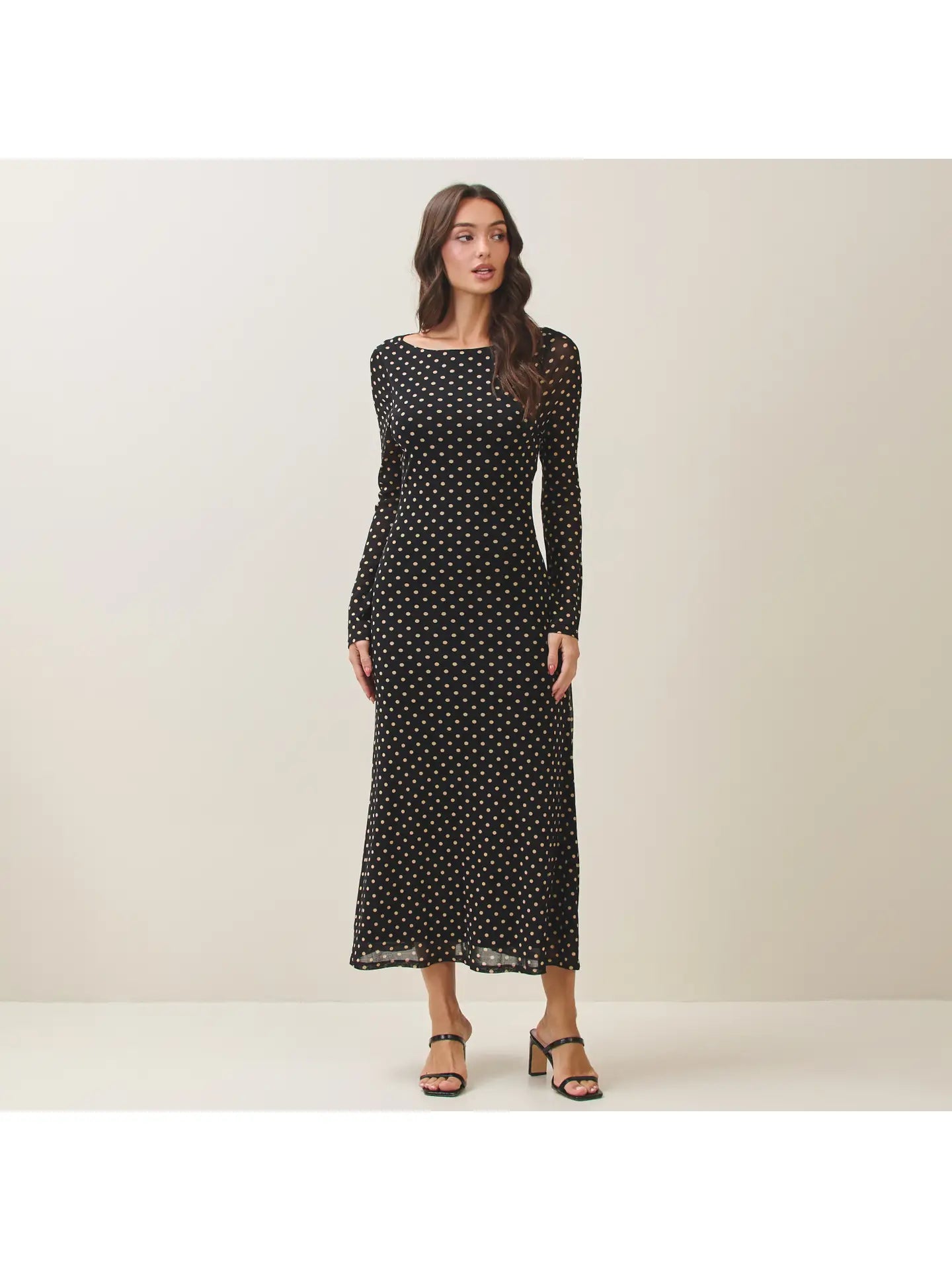 Polka Dot Mesh Dress