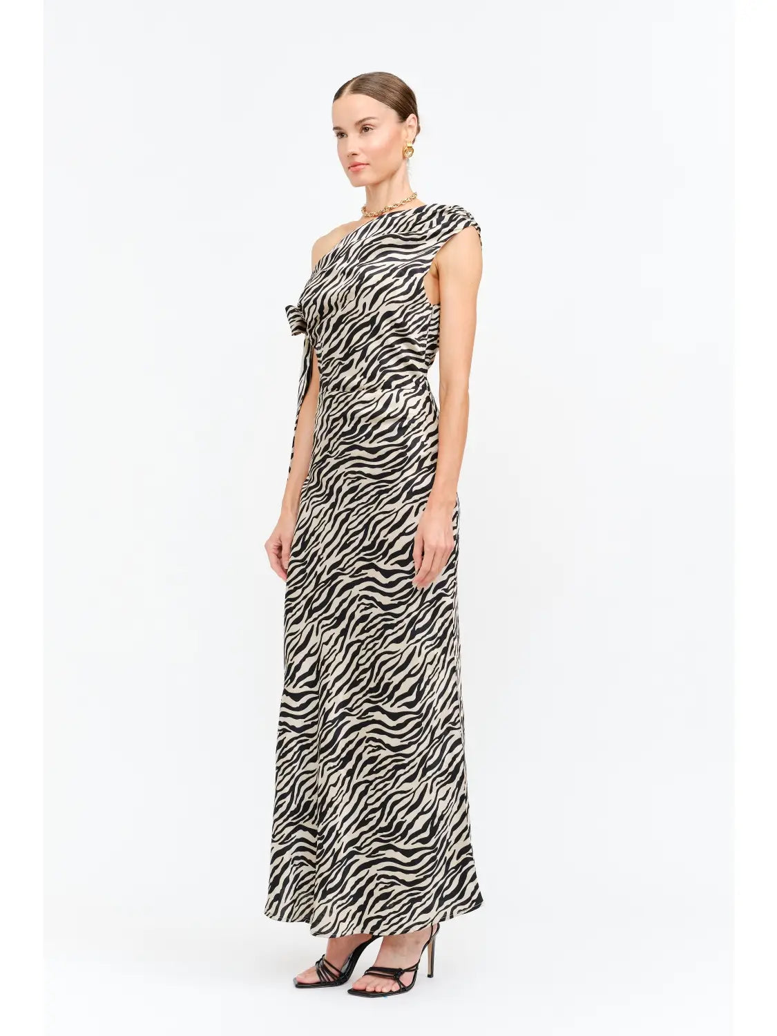 Remie Zebra Dress
