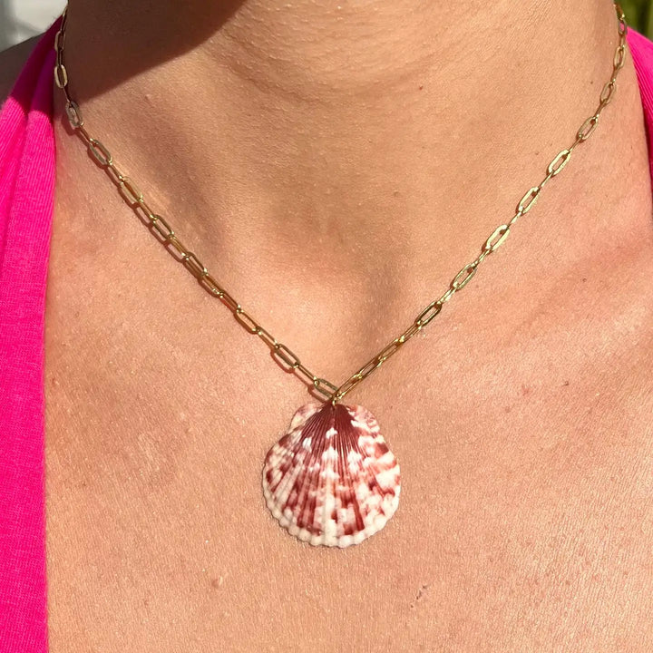 Scallop Paperclip Necklace