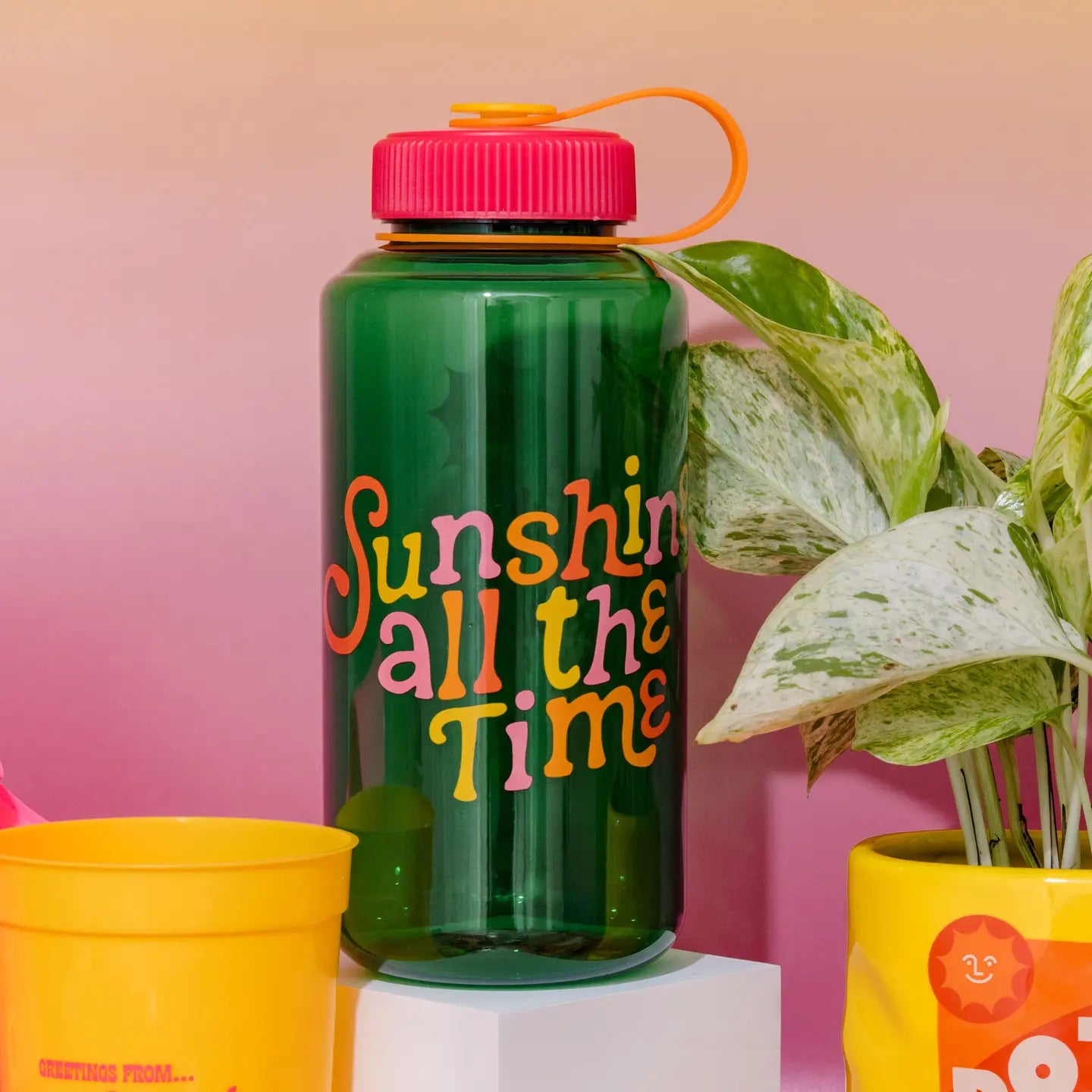 Water Bottle, Sunshine All the Time