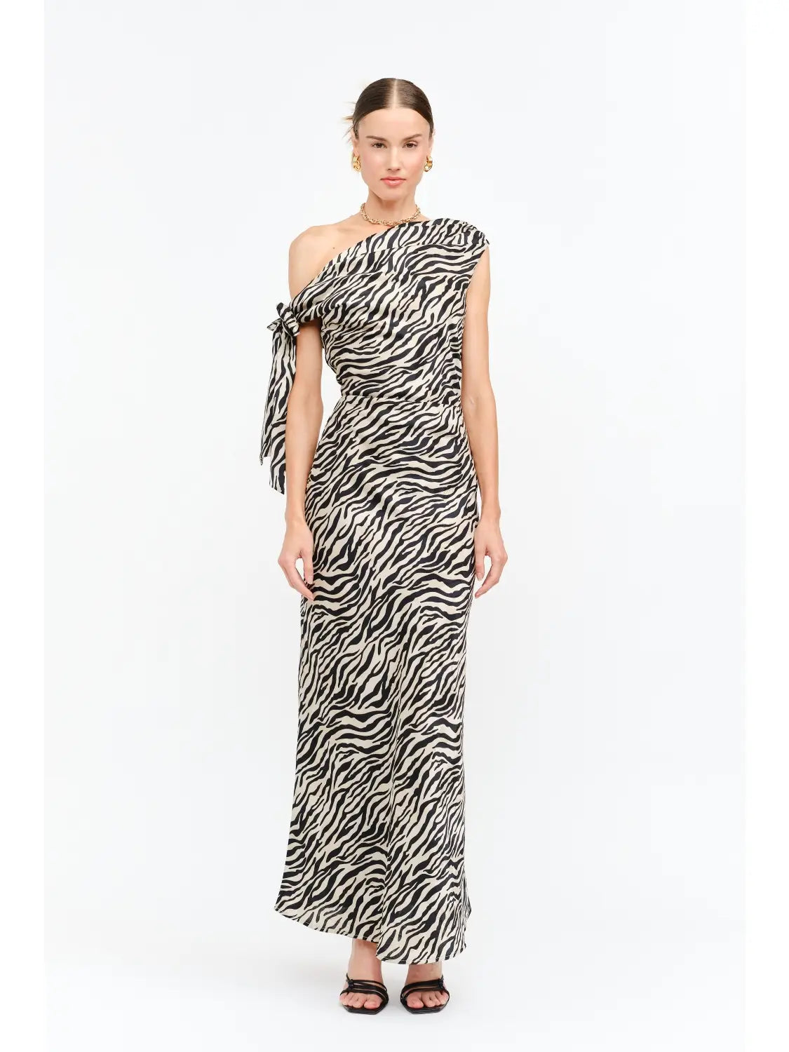 Remie Zebra Dress