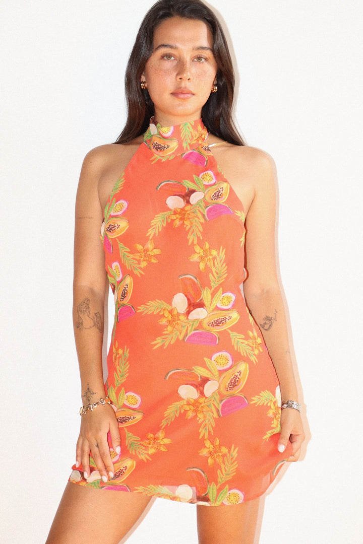 Island Nectar Halter Dress