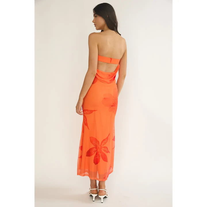 Something in the Orange Mesh Maxi Dress