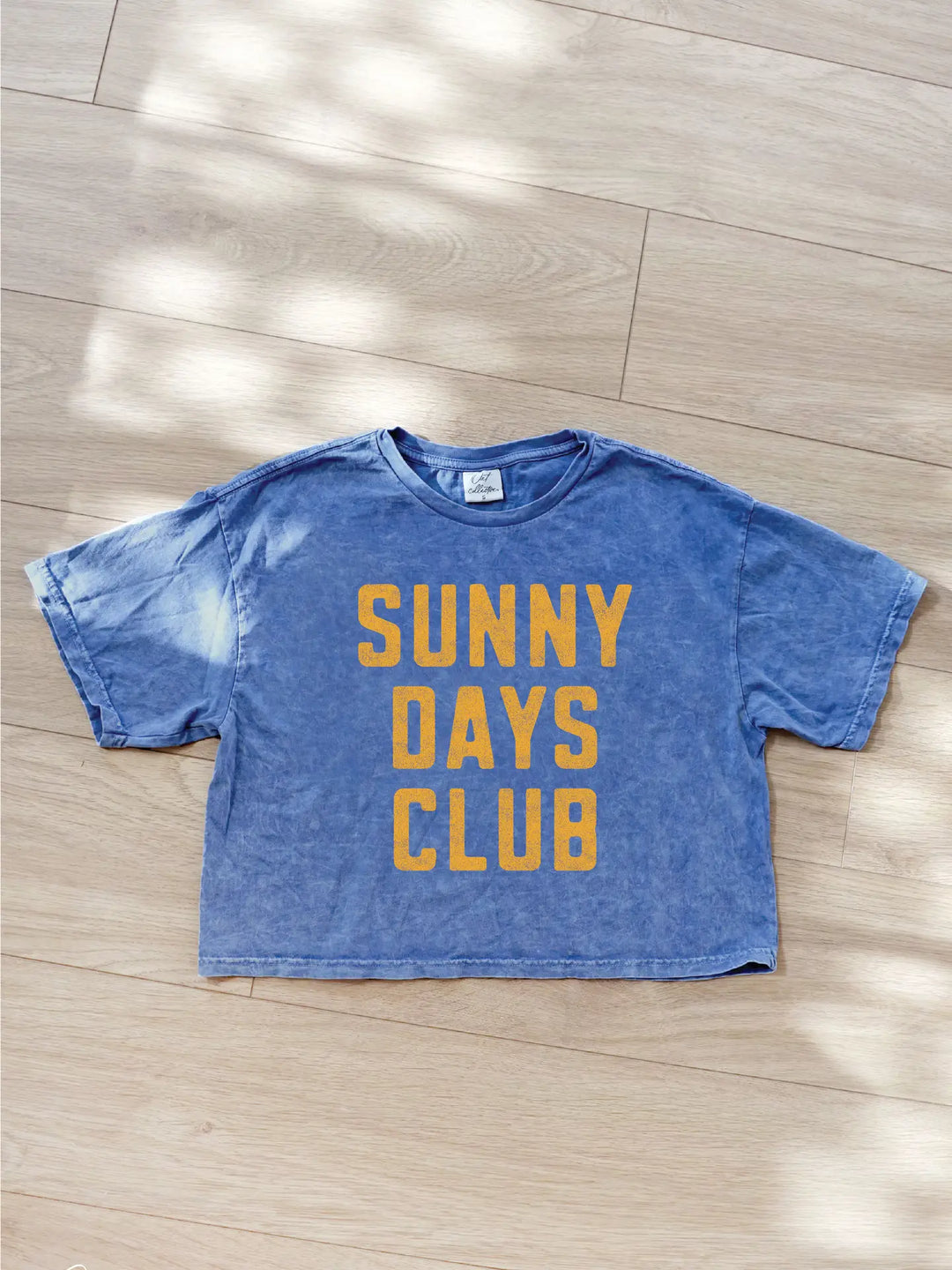 Sunny Days Club Cropped Mineral Graphic Top