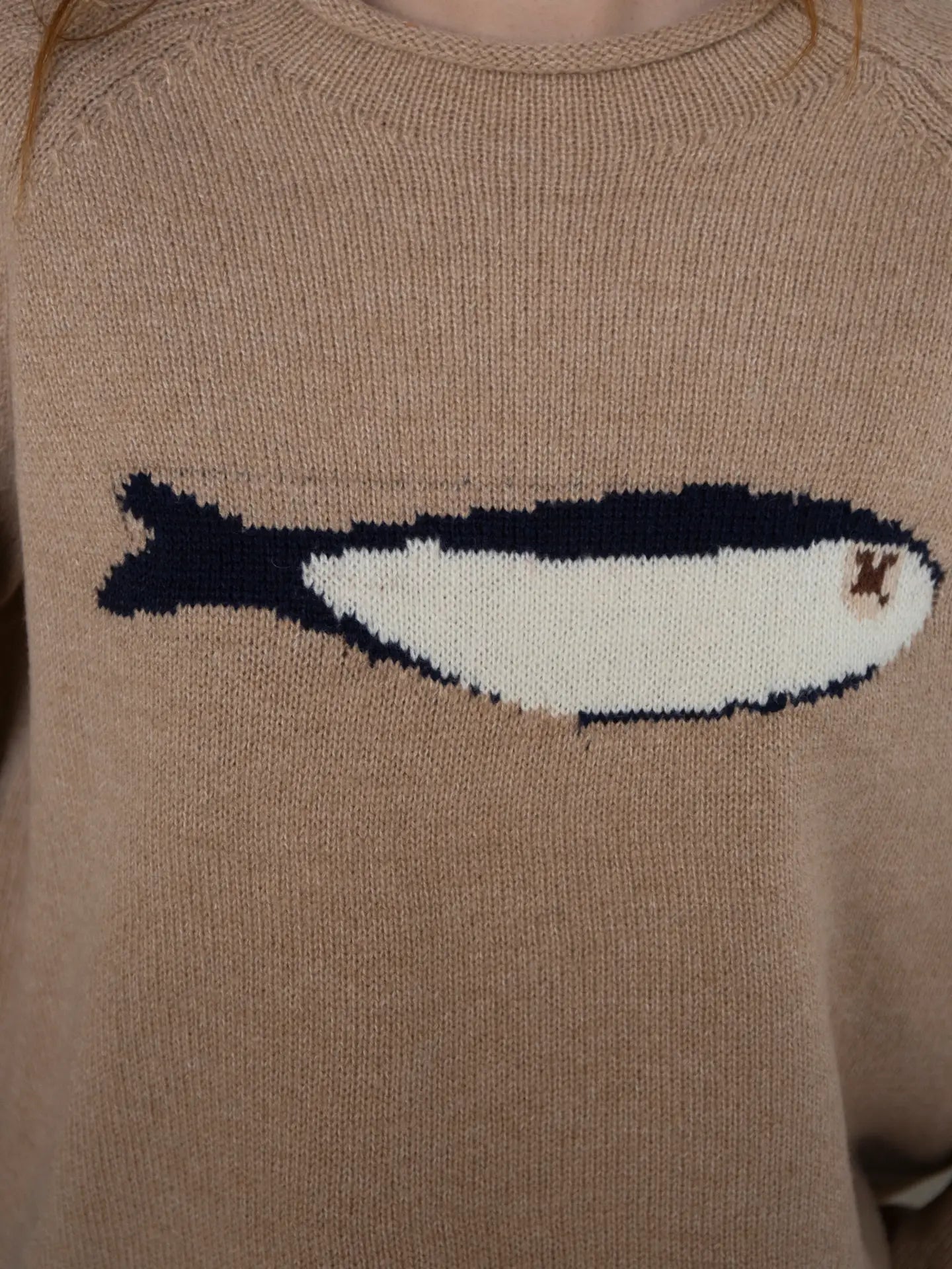 Sardine Sweater