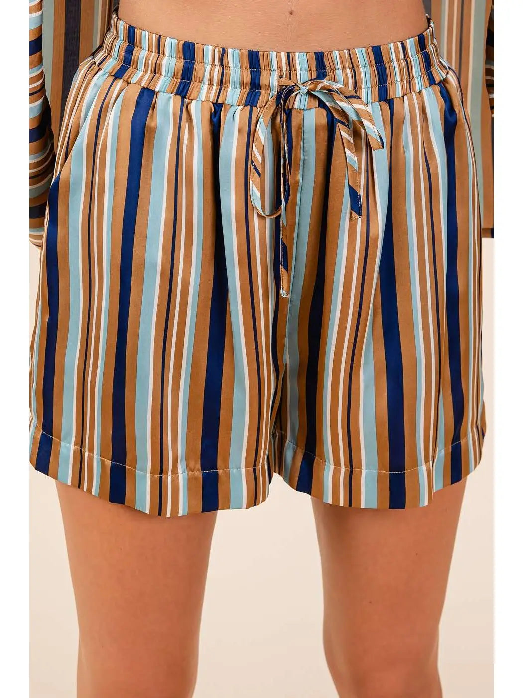 Multicolor Striped Print Satin Shorts