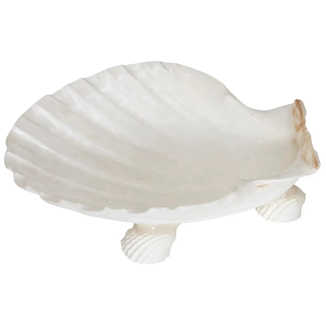 Irish Deep Scallop 4" Dish w/ Clam Legs
