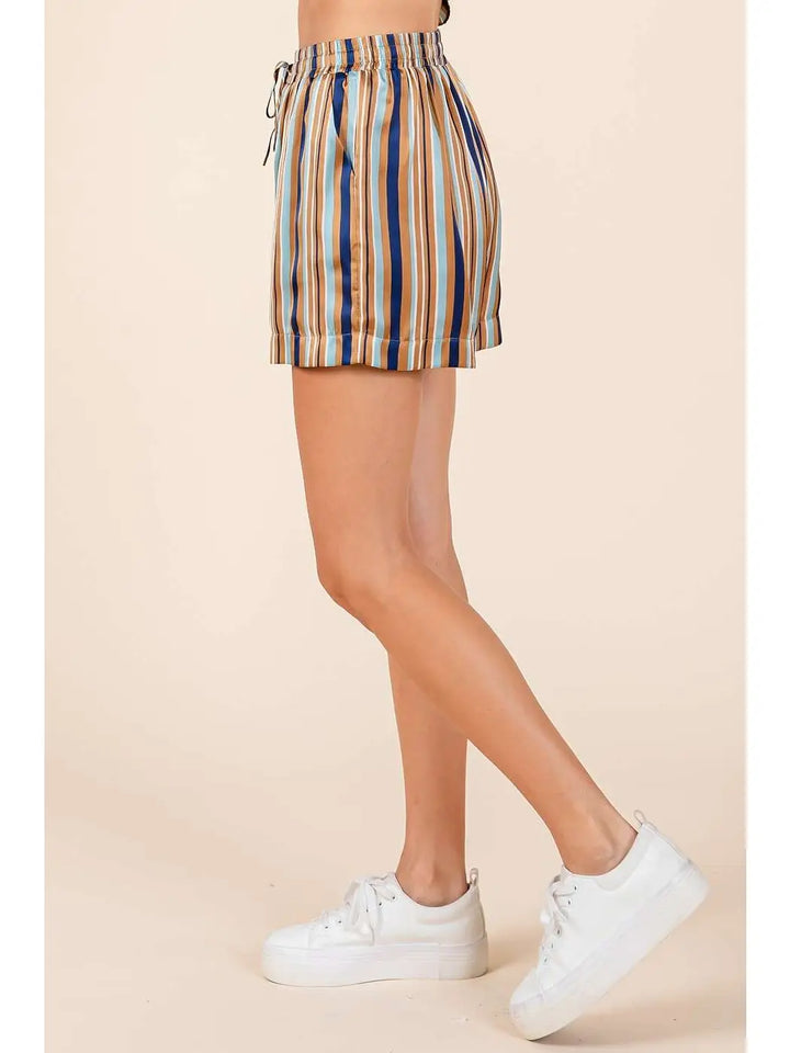 Multicolor Striped Print Satin Shorts