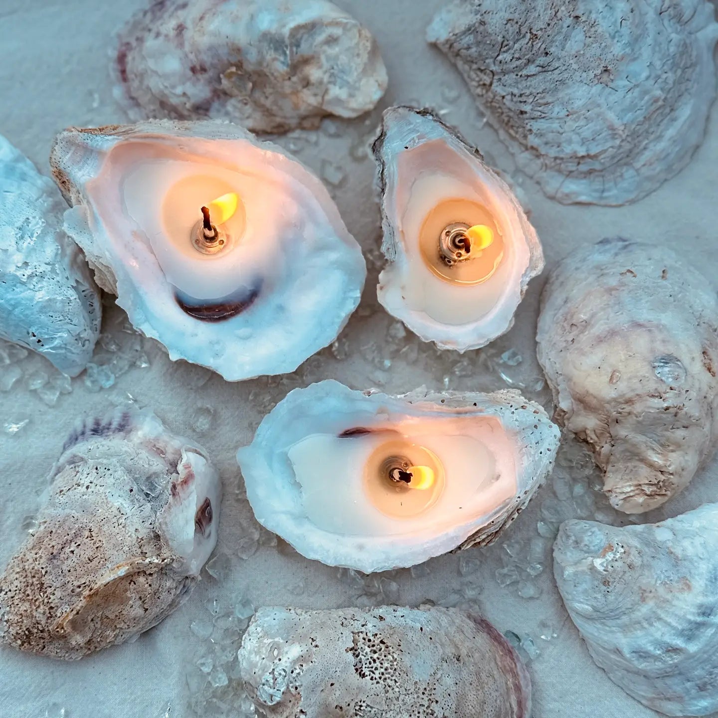 Oyster MIni Candle