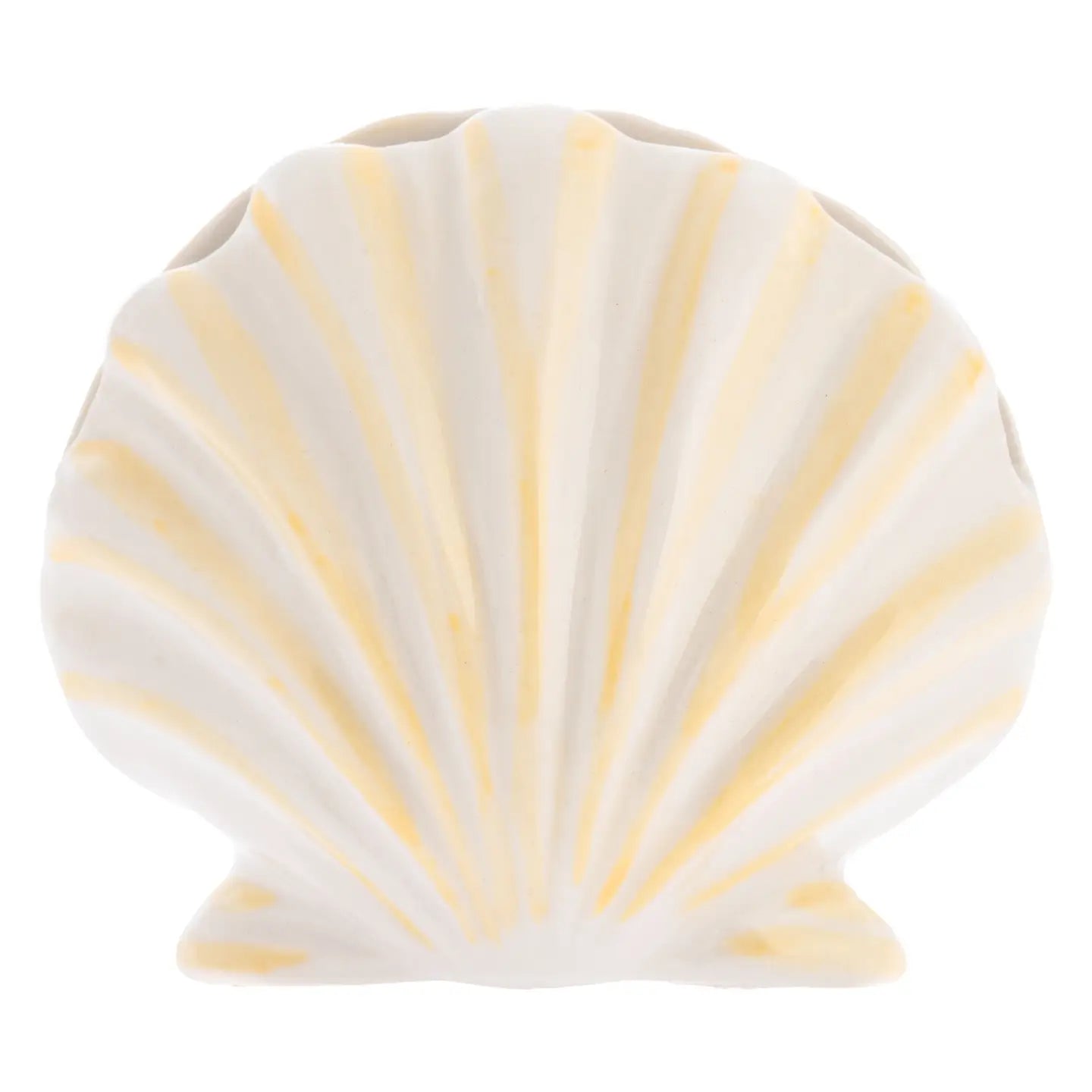 Seashell Photo/Card Holder