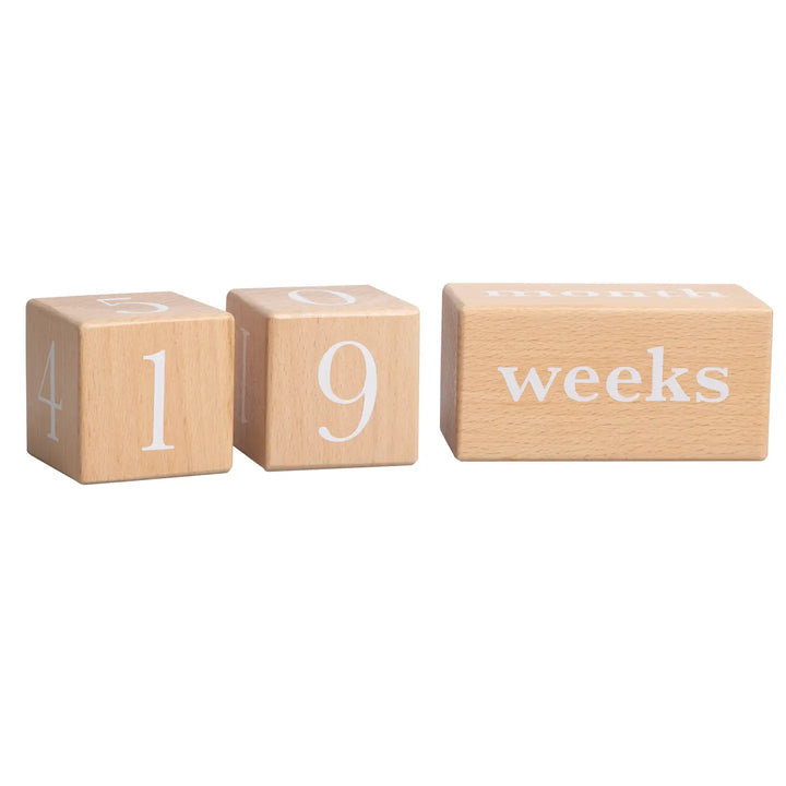Natural Wooden Milestone Blocks Photo Prop