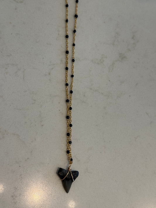 Shark Tooth