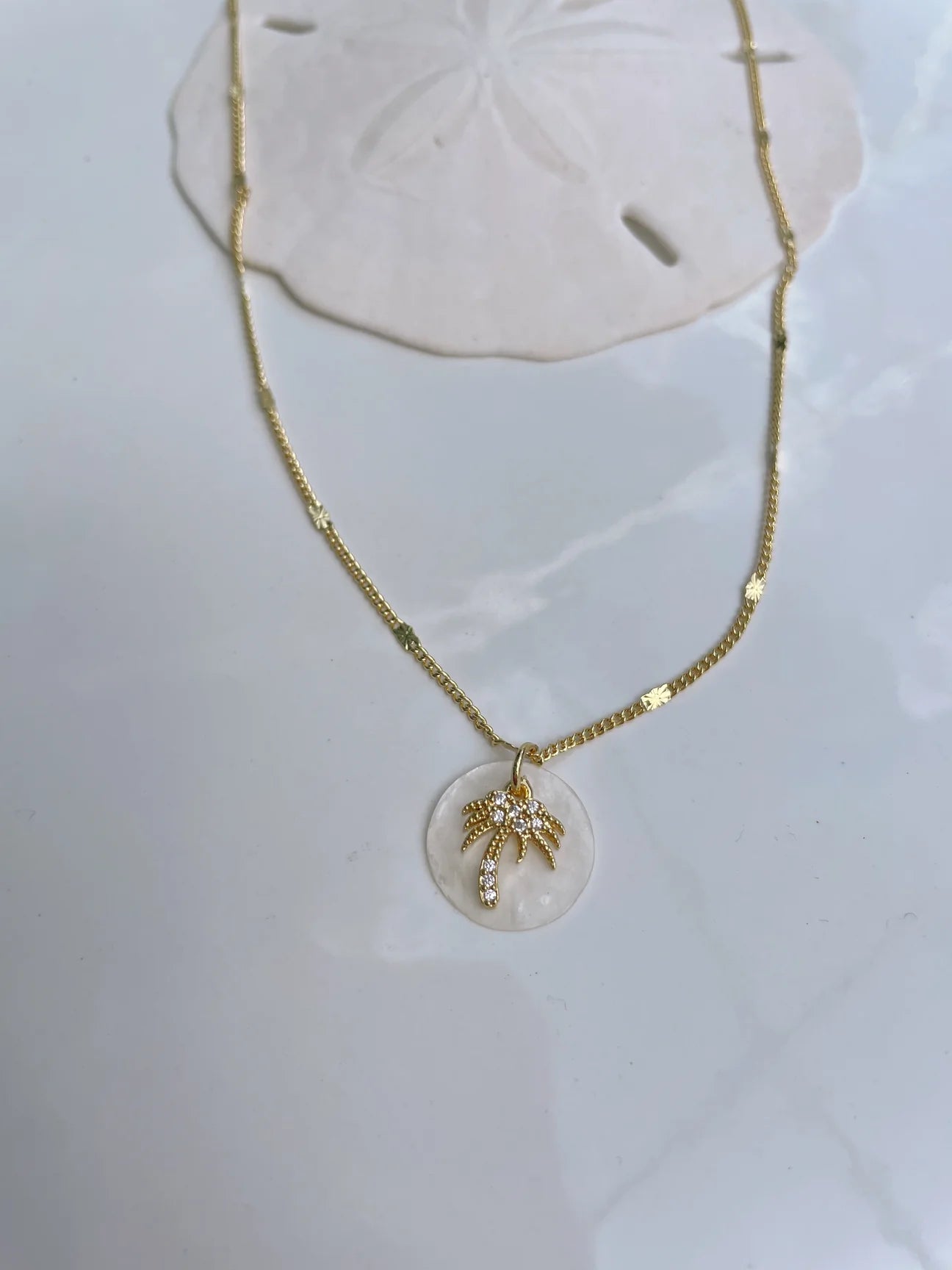 Dainty Palm