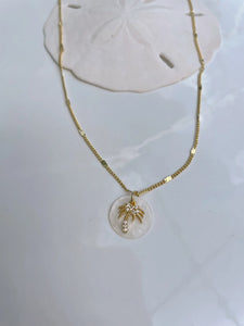 Dainty Palm