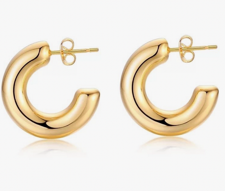 Chloe Mini Hoop