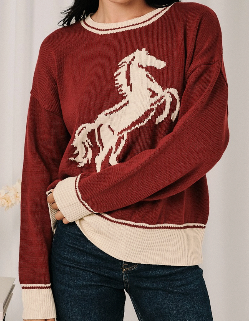 Horse Graphic Contrast Trim Knit Sweater