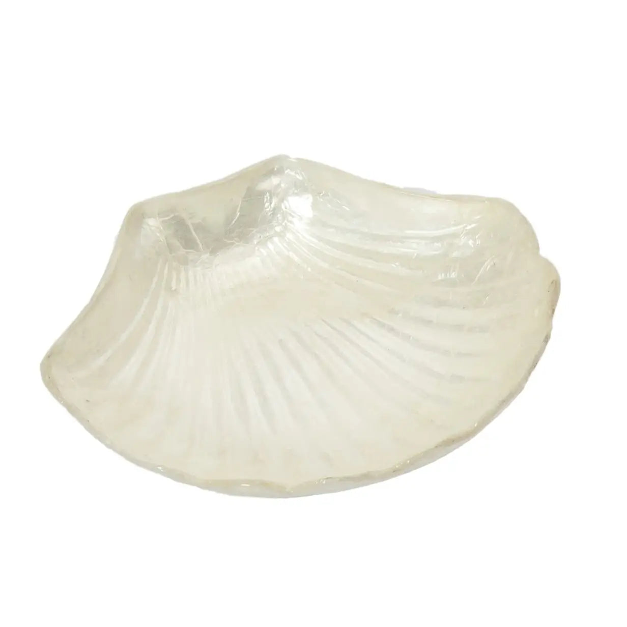 5" Capiz Scallop Shell Bowl (Natural White)