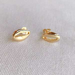 18K Gold Filled Cowrie Shell Studs
