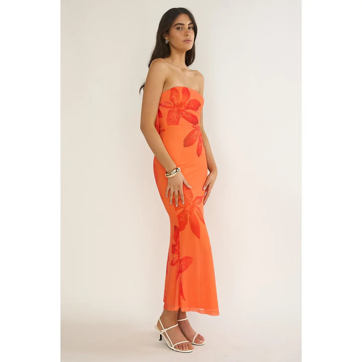Something in the Orange Mesh Maxi Dress