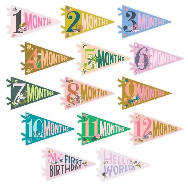 Little Artist Baby Milestone Pennant