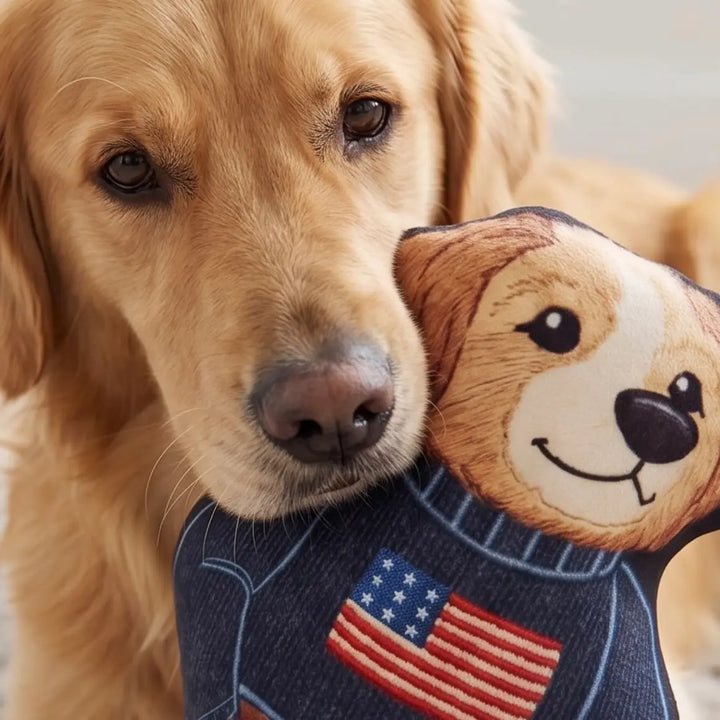 Ruff Lauren Teddy Dog | Plush Squeaker Dog Toy