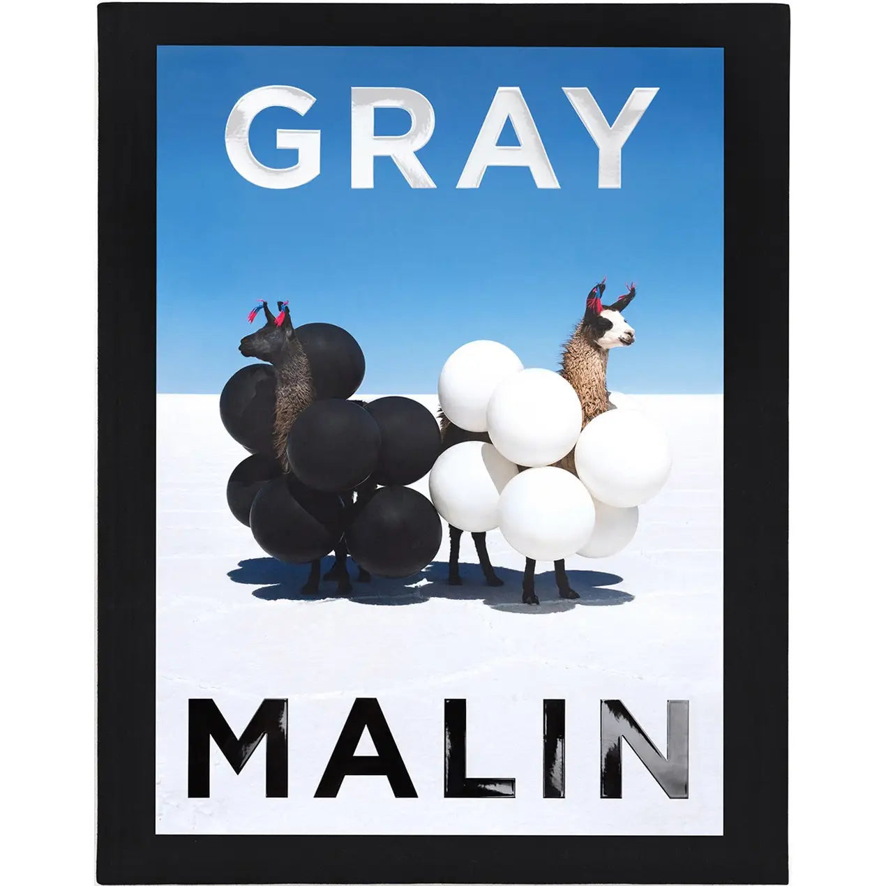 Gray Malin Coffee Table Book The Ivory Palm