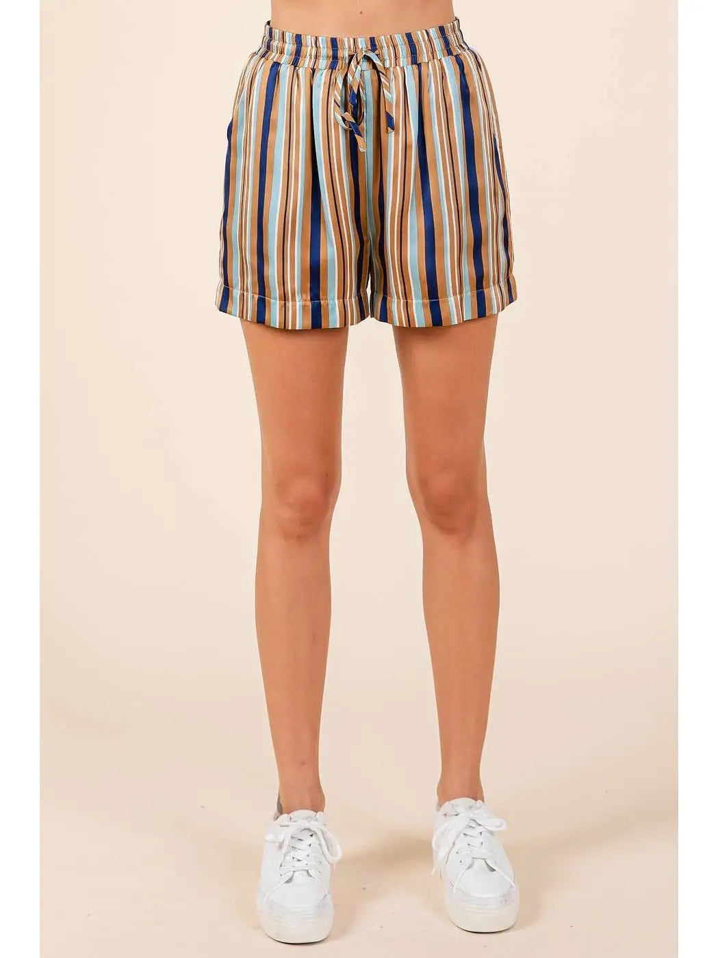 Multicolor Striped Print Satin Shorts