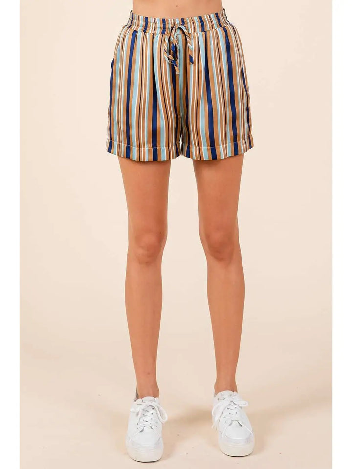 Multicolor Striped Print Satin Shorts