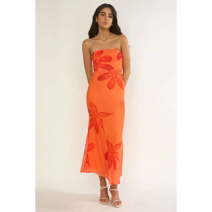 Something in the Orange Mesh Maxi Dress