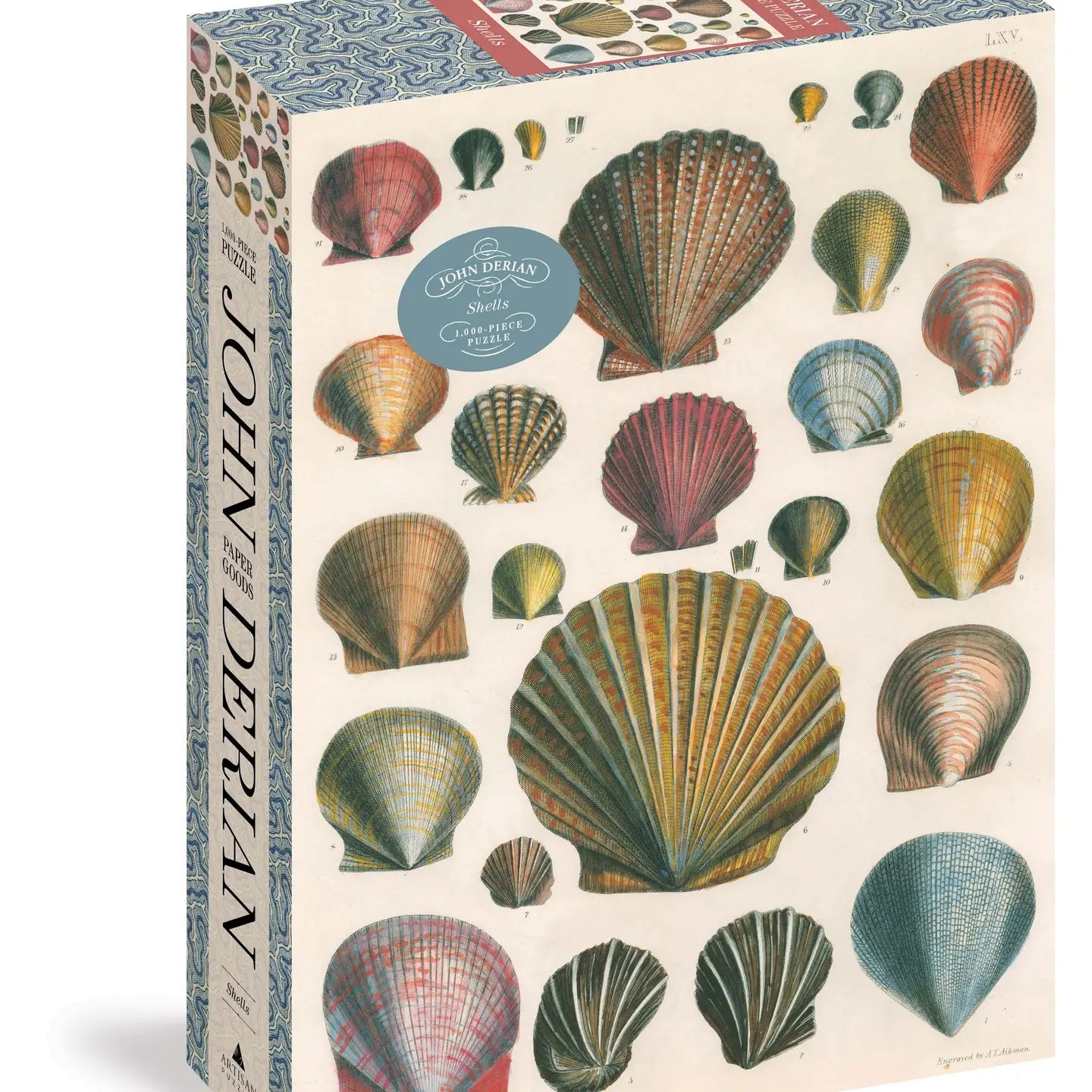 John Derian Paper Goods: Shells 1,000-Piece Puzzle