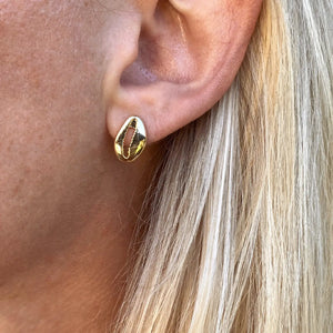 18K Gold Filled Cowrie Shell Studs