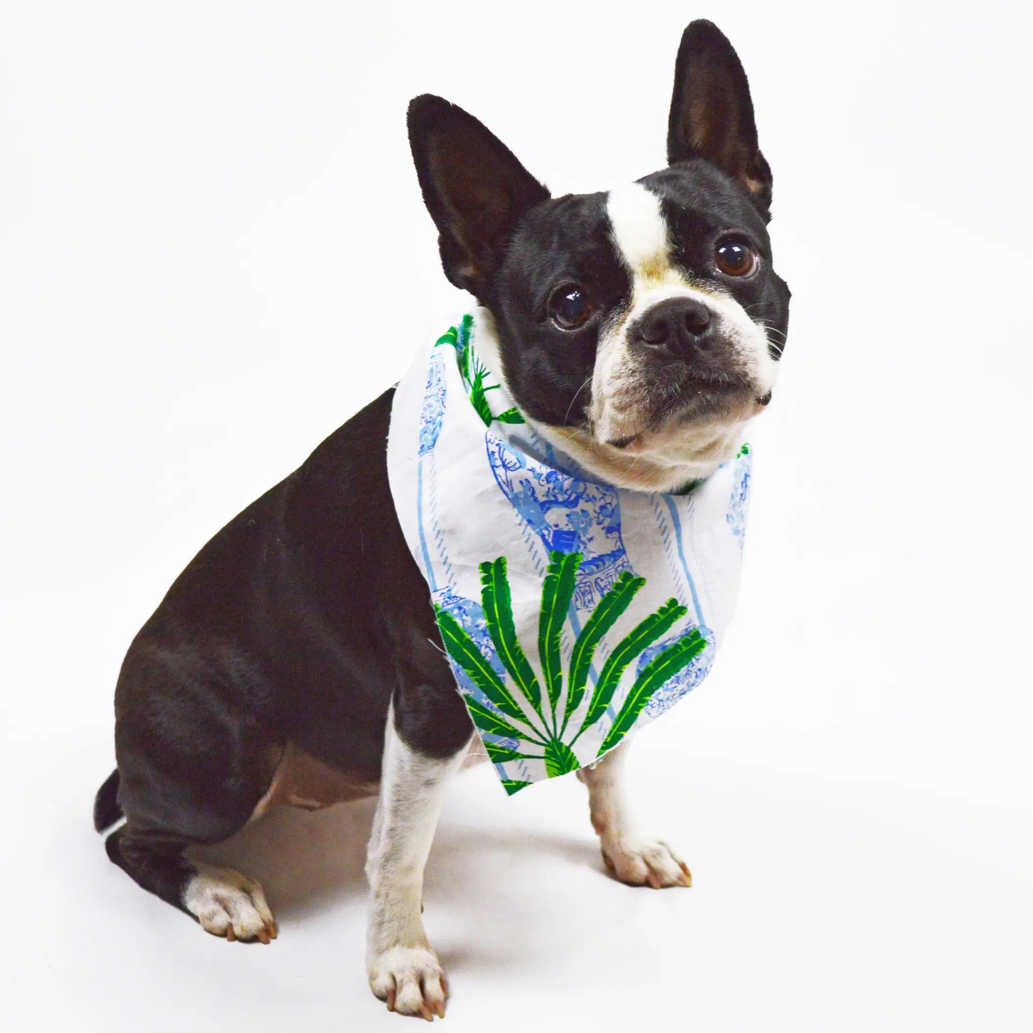 Pet Bandana