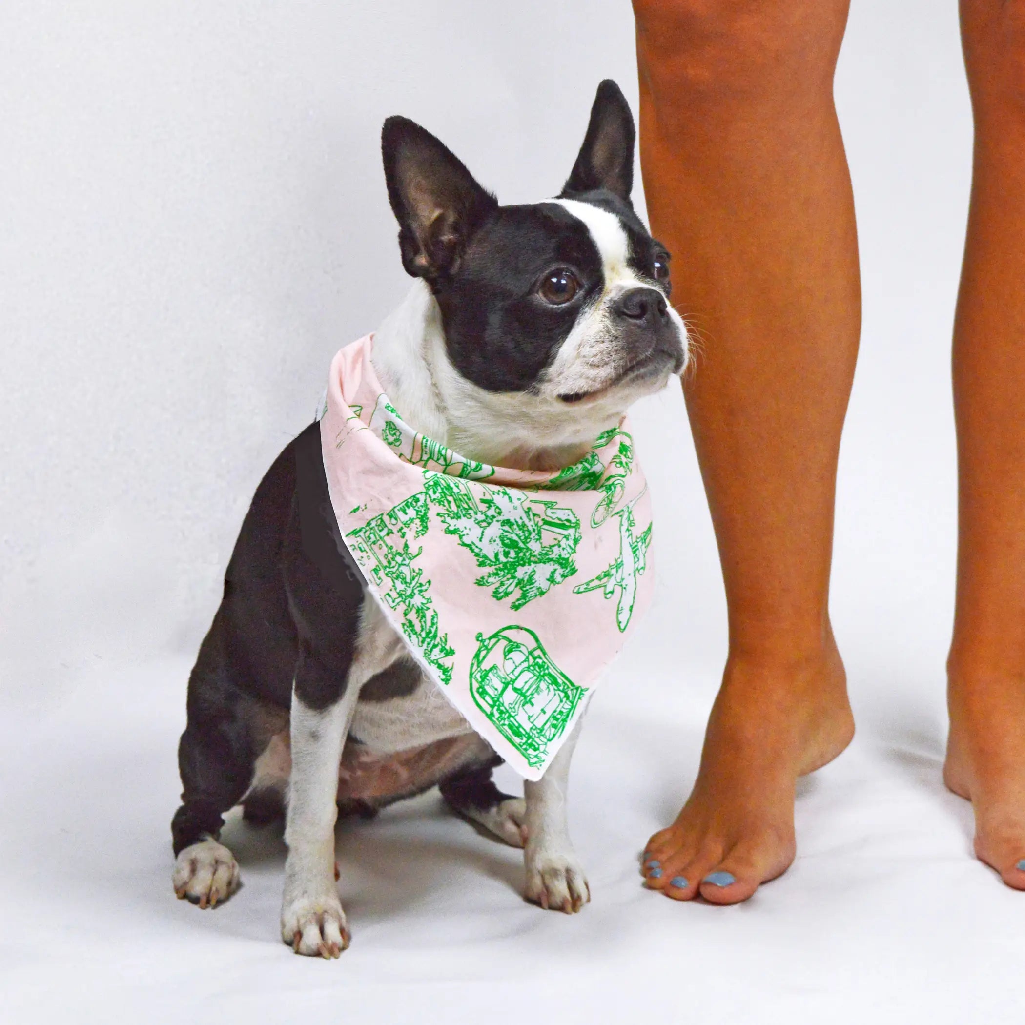 Pet Bandana